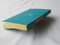 実説　続みちのくよばい物語