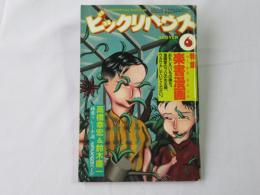 ビックリハウス　1982年(昭和57年)6月号　通巻89号