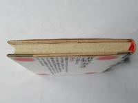 津軽のカミサマ : 救いの構造をたずねて