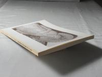 風と菩薩の物語報告書