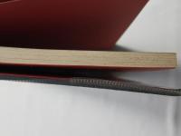 東北の蒸気機関車 : 鉄道100年