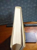 最後の人　期待　忘却