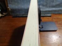 グラムシの思想空間　「南欧文化」特集号