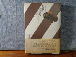 太陽をみつめて