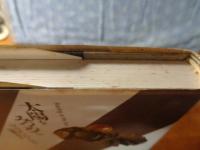 太陽をみつめて