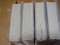 世界宗教史 全4巻(エリアーデ) / 古本、中古本、古書籍の通販は