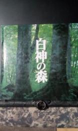 白神の森　CDロムなし