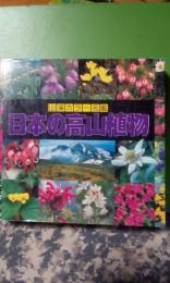 山渓カラー名鑑　日本の高山植物