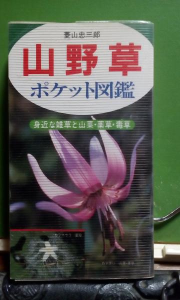 ポケット図鑑 山野草 菱山忠三郎 大内学而堂 古本 中古本 古書籍の通販は 日本の古本屋 日本の古本屋