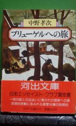 ブリューゲルへの旅　河出文庫