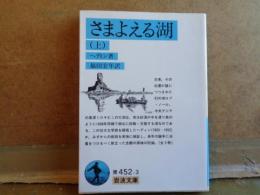 さまよえる湖　上　岩波文庫