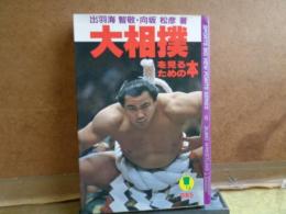 大相撲を見るための本