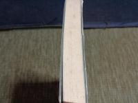 新しい世界史　3　ビラの中の革命　ウィーン・1848年