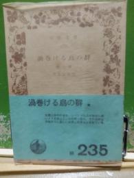 渦巻ける鳥の群　他3篇　岩波文庫