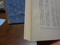 相対性理論　岩波文庫