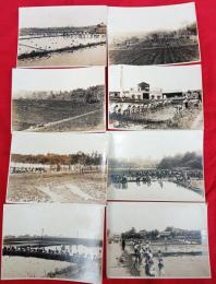 千葉県学生農業研究資料　　田植風景生写真　８枚　　（傳兵衛新田）　