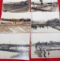千葉県学生農業研究資料　　田植風景生写真　８枚　　（傳兵衛新田）　