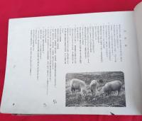  福島県立相馬農蚕学校第十六回卒業記念写真帖



　
