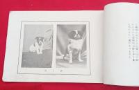 動物写真画帖    家畜之巻