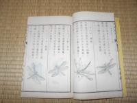 博物教授書　卷5　