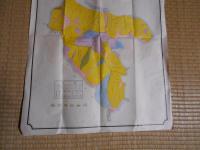 佐々木休次郎所有山林　林相図（実測面積弐百五拾四町一段歩）　縮尺六千分之一