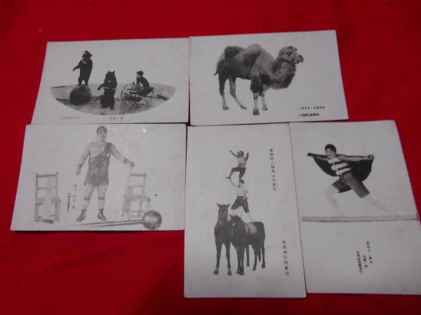 予約販売 / 5枚 柿岡曲馬団 絵葉書 ええかなや 古本、中古本、古書籍の / 絵葉書