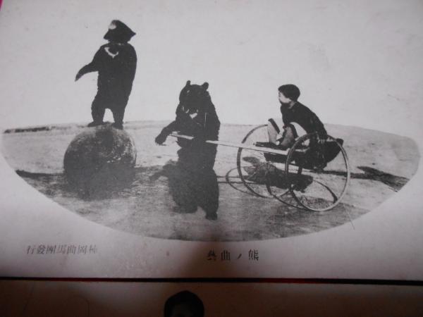 絵葉書 柿岡曲馬団 5枚 / ええかなや / 古本、中古本、古書籍の