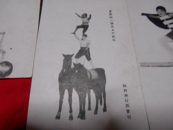 定番のお歳暮＆冬ギフト 絵葉書 柿岡曲馬団 5枚 / ええかなや / 古本、中古本、古書籍の 絵葉書
