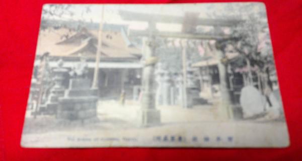 超歓迎された 絵葉書 琴平神社 古本、中古本 / ええかなや / 手彩色 東京名所 絵葉書