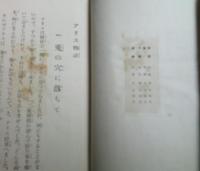 アリス物語　　　小学生全集２３