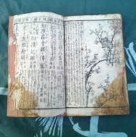 繪入講釋　實語教稚繪解　　
