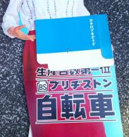本間千代子　等身大人形　生産台数第一位　ブリジストン自転車　　