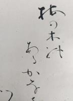 柳原白蓮　色紙　　１枚