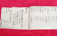 江戸から庄内に　三国通り道中記　　　