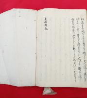 東游雑記　古川辰　写本　絵入　　手書き　　