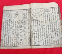 生下未分語