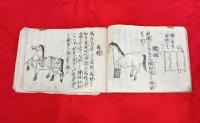 馬療抄　　絵入　　写本
