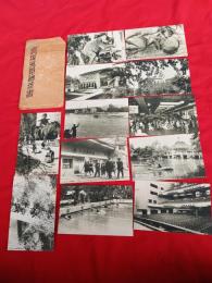 宝塚風景絵葉書　　12枚　袋付