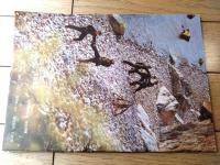 雑誌【中国武術（昭和６０年１０月号）/中国語版 Ｂ５サイズ・全５２ページ】「八仙剣」「八卦対劈刀」等