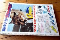 【週刊少年サンデー（昭和４８年４４号）】巻頭カラー読切「はみだし海軍/本宮ひろ志」・読切「おれの彼女は左まき/池上遼一」等