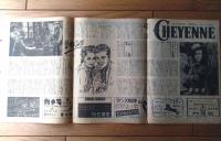 【映画「高原児（デニス・モーガン主演/ラオール・ウォールシュ監督）」パンフレット（Ｂ５サイズ・全６ページ一枚物）】テアトル渋谷/昭和２４年