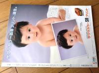 【写楽（昭和５９年８月号）】グラビア「松本小雪・財前直見」・「２１世紀の大陸」等