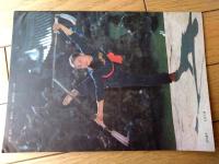 雑誌【中国武術（昭和６１年６月号）/中国語版 Ｂ５サイズ・全５２ページ】「秘踪拳」「毛主席観看武術表演」等