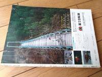 【週刊少年サンデー（昭和４６年２３号）】巻頭カラー新連載「タマガワ君/あだちつとむ」・読切「ちかいの背負い投げ/山本こう平」等