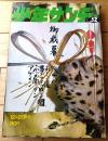 【週刊少年サンデー（昭和４５年５２号）】読切「旋風児/北川寛」・最終回「夜明けのマッキー/望月三起也」等