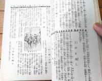 【日露戦争写真画報 第１０巻（最新写真銅版・軍国画譜・彩色写真版等）】明治３７年１１月８日号