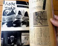 【女の百科（昭和３８年６月号）】「Ｂ・Ｇ上半期の肉体報告」・「一見紳士とＣ調淑女」等