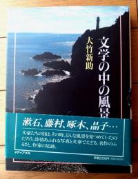 【文学の風景（大竹新助）】メディア・パル（平成２年初版）