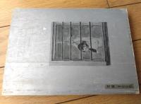 【奇譚クラブ（昭和４１年臨時増刊号）/小説・絵画「花と蛇」特集号】団鬼六・四馬孝等