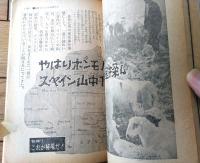 【実話と秘録（昭和４１年５月号）】「バージン２００ルピーのカブール人身市場」・「香港の闇にうごめく日本女性の黄色い肌」等